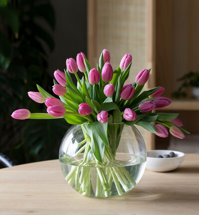 Rosa tulipanbukett stor